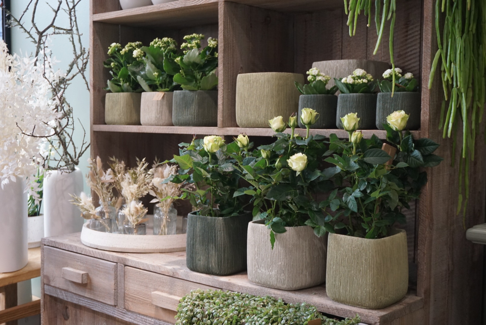 boutique le naturel fleuriste vannes